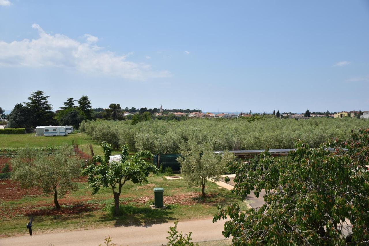 Apartmani Diana Novigrad  Bagian luar foto
